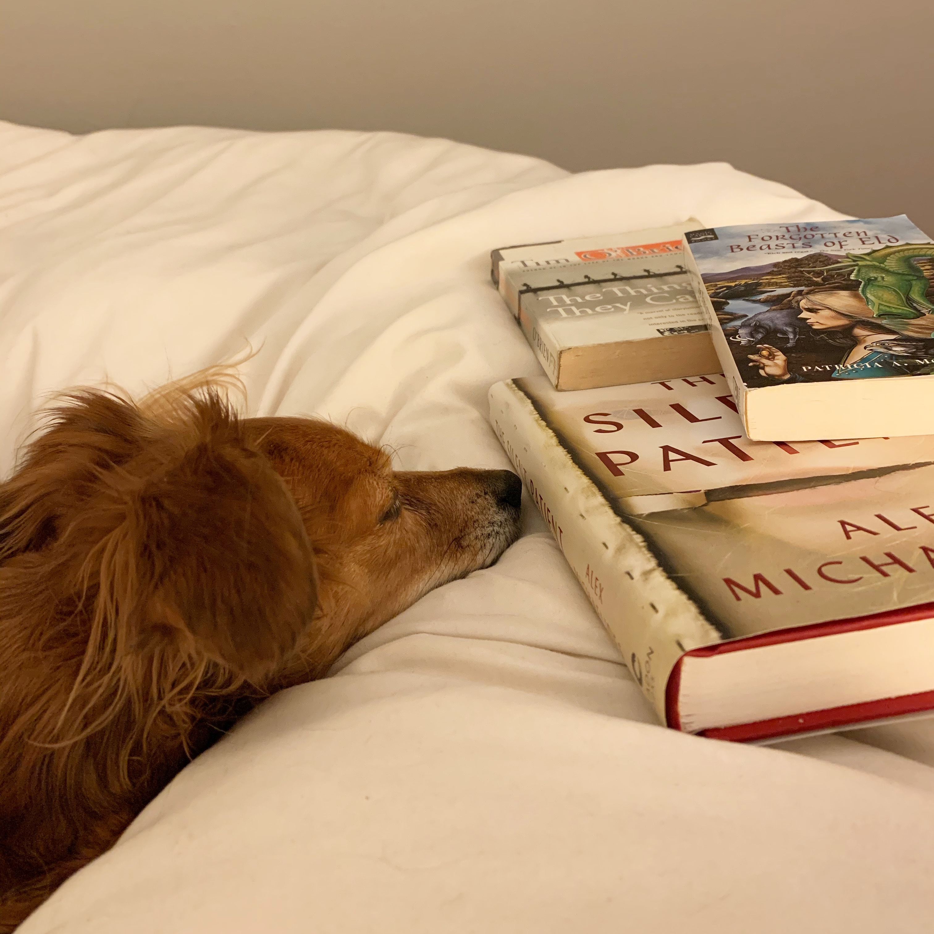 0920bc6b-be5f-4165-8c12-2fc925720794