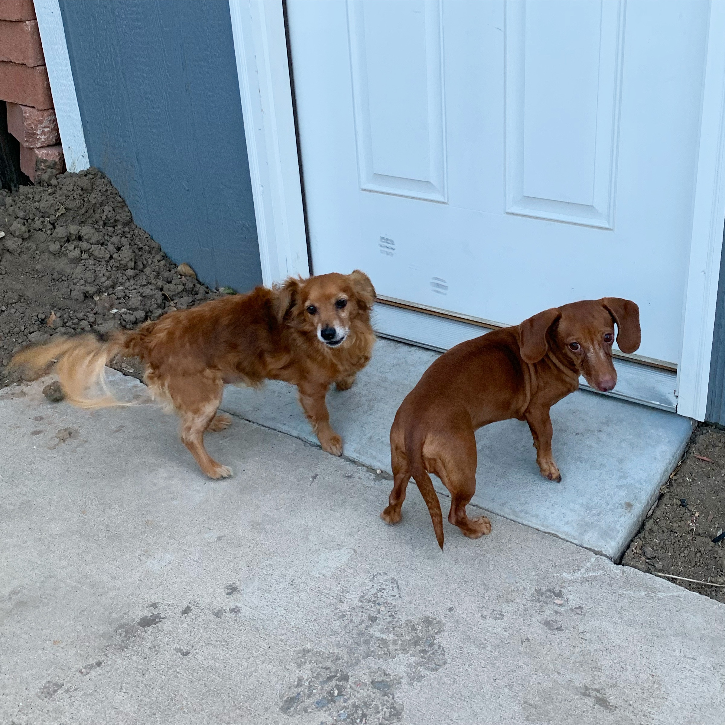 200530e6-92d0-488c-b379-c9d253dedef8