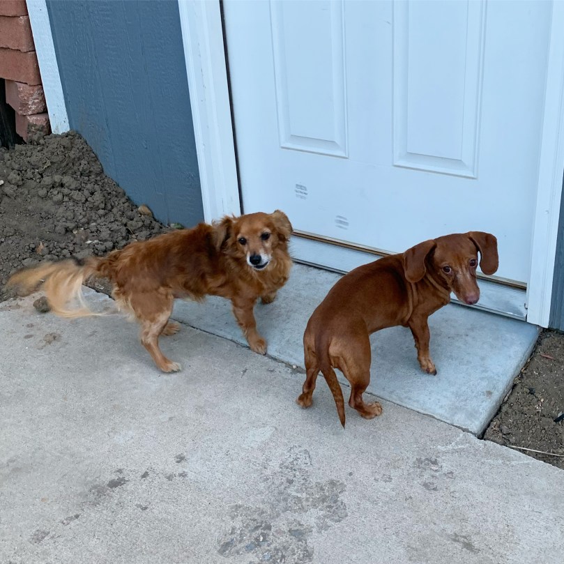 200530e6-92d0-488c-b379-c9d253dedef8