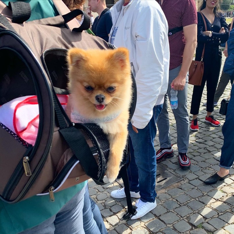 48ba8aa8-1ad7-4a5f-bf6d-c3c31b885005-1