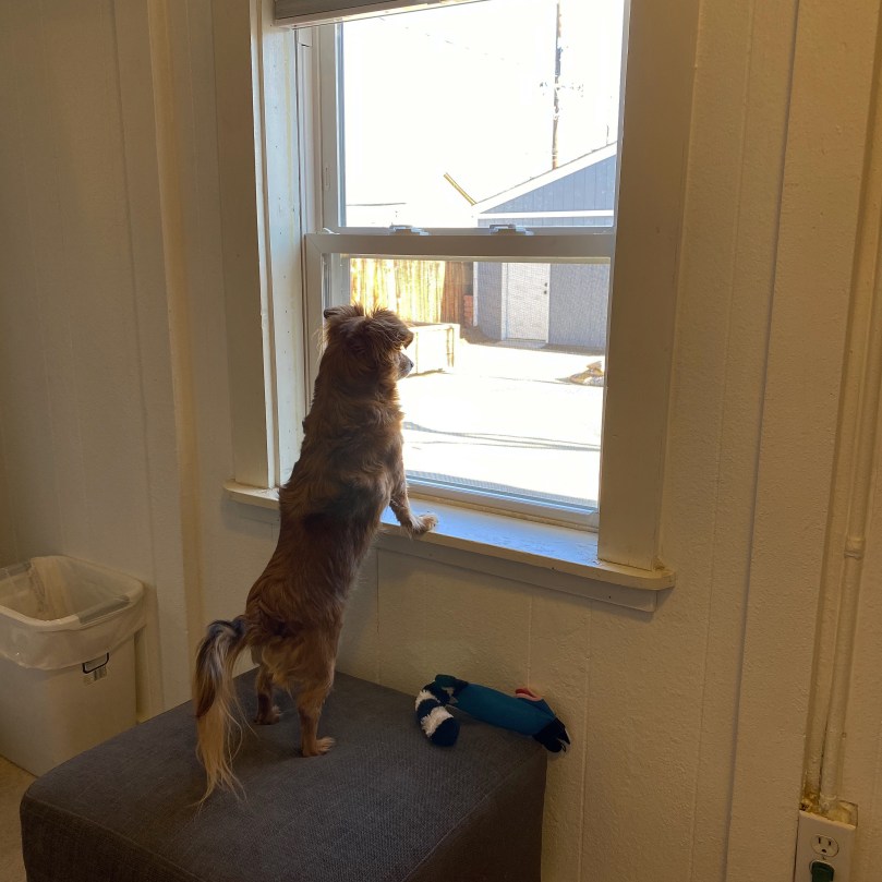 a22afaa5-1e85-42de-90b4-f7b49e0192c3