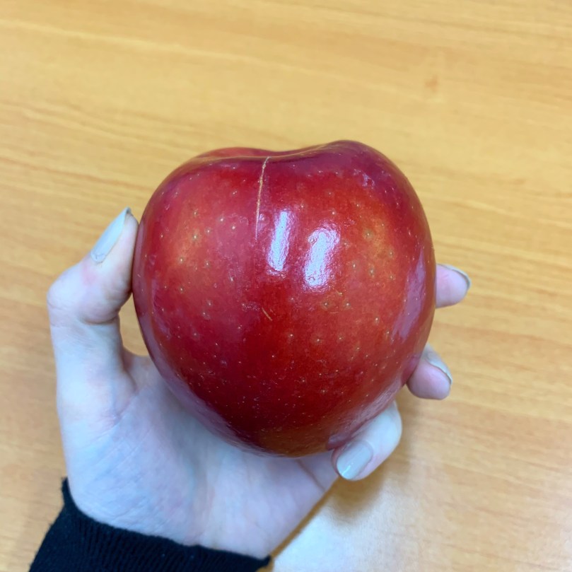 a44b8549-fae6-4bfc-ba90-e687af38bf86