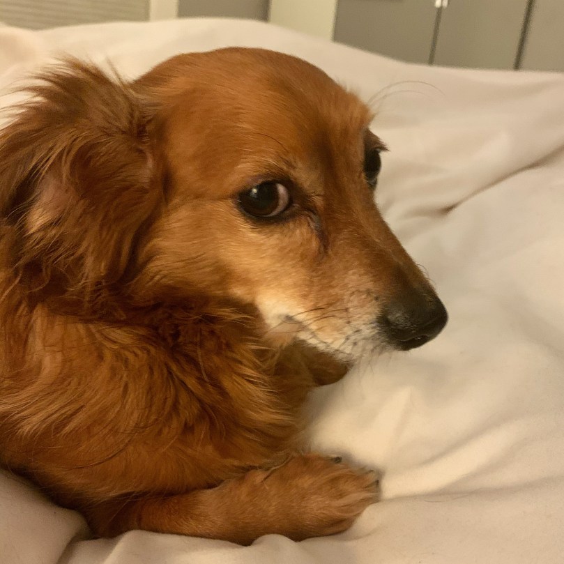 c065c66e-a705-408f-84ef-f1c1d1bdaa8f