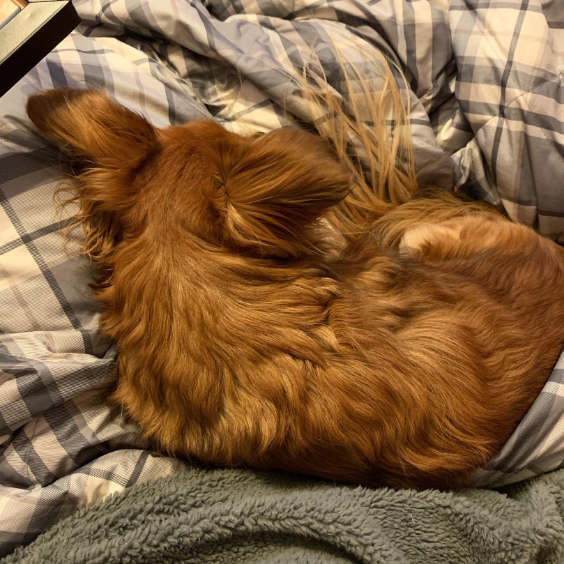 9c8b9efe-3c7f-4d62-9209-ff276c963d7d