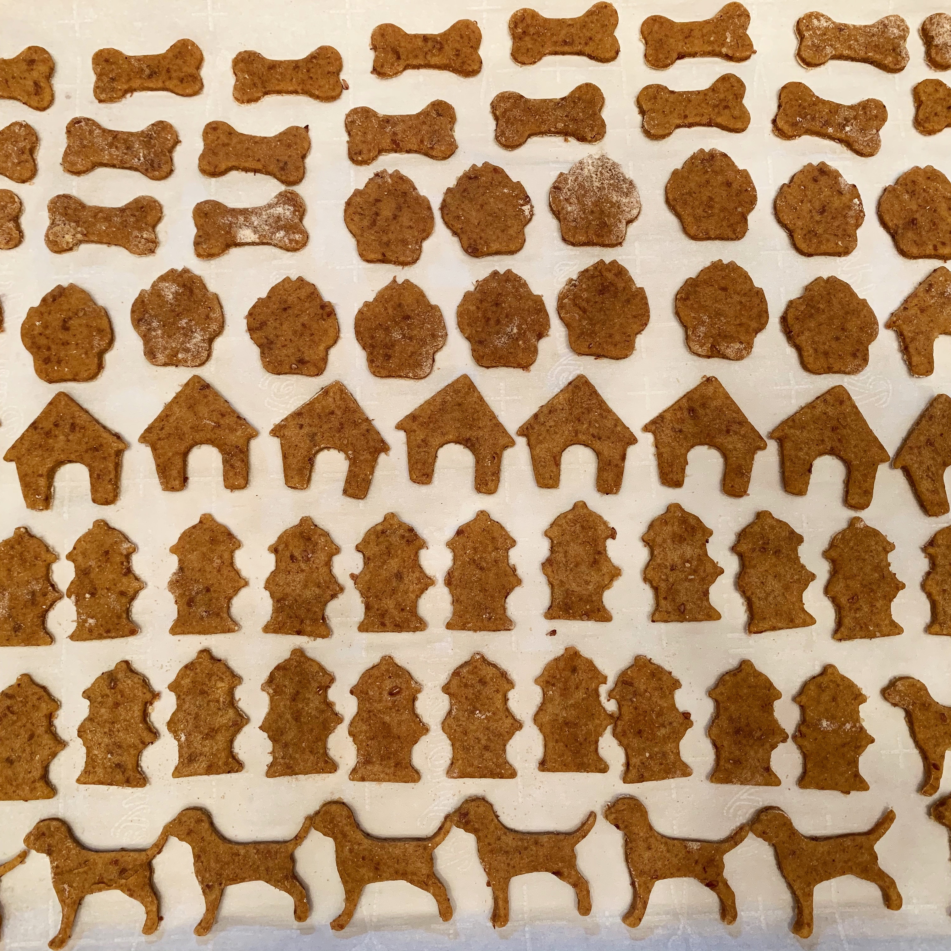 eb91bcae-5561-48c8-a96b-535ecedc9a30