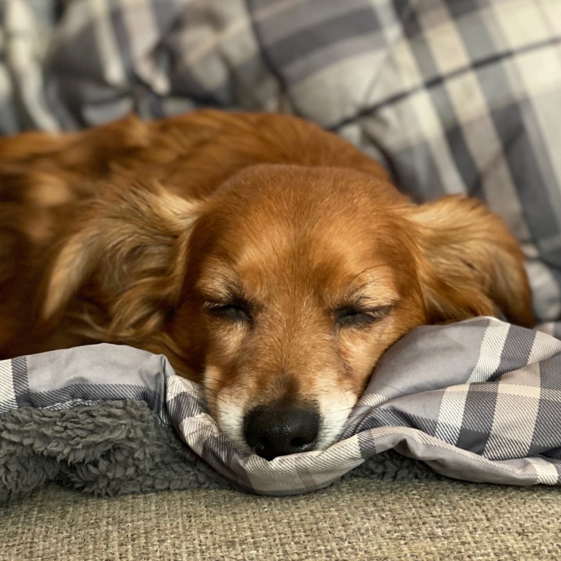 23ae8e09-0596-4163-bab1-405d32583ac0