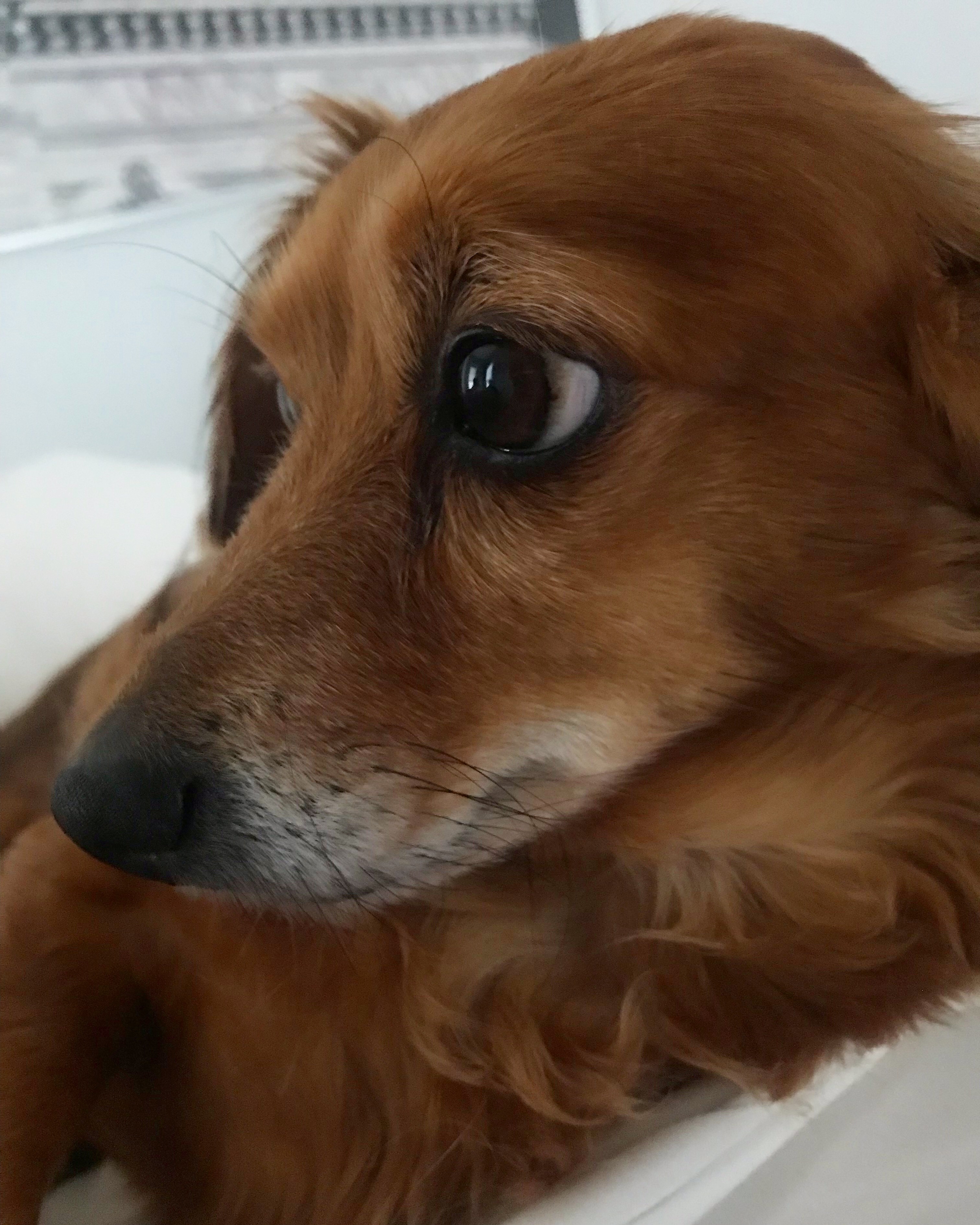 1e6abfd5-a398-454d-b6d7-ecd05d3c9fe4