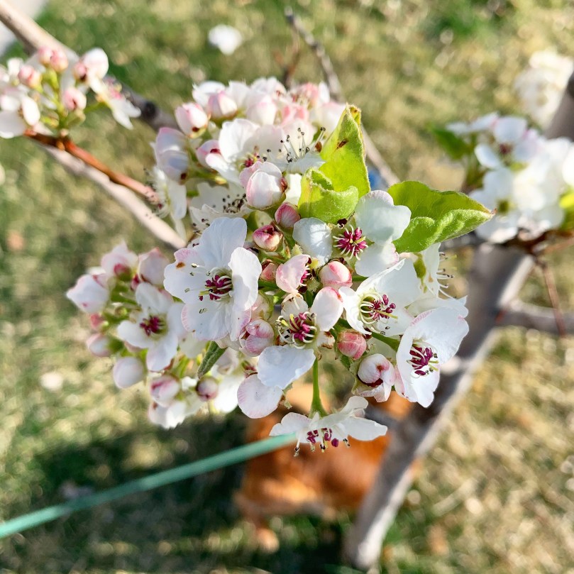 5fdfc376-2af2-4edb-84e1-b50b1c1b4484