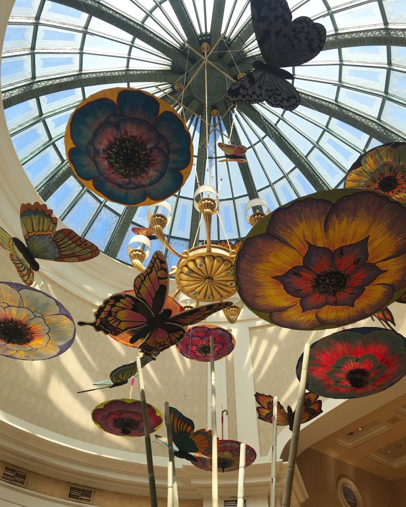 62f6e6dd-cead-4ad7-845f-cdeed437926b