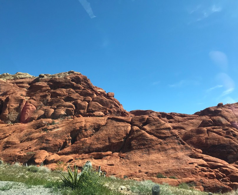 674b53f7-e5a3-441e-8e8b-1220cbb3227d