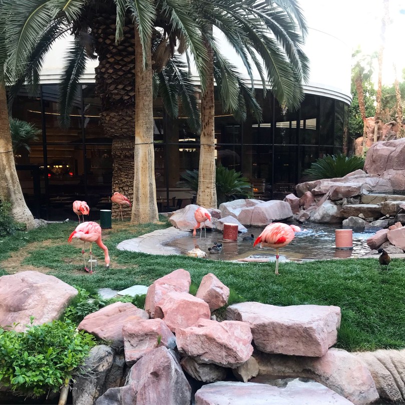 738a9c35-511e-4767-afcc-870899c5ab34