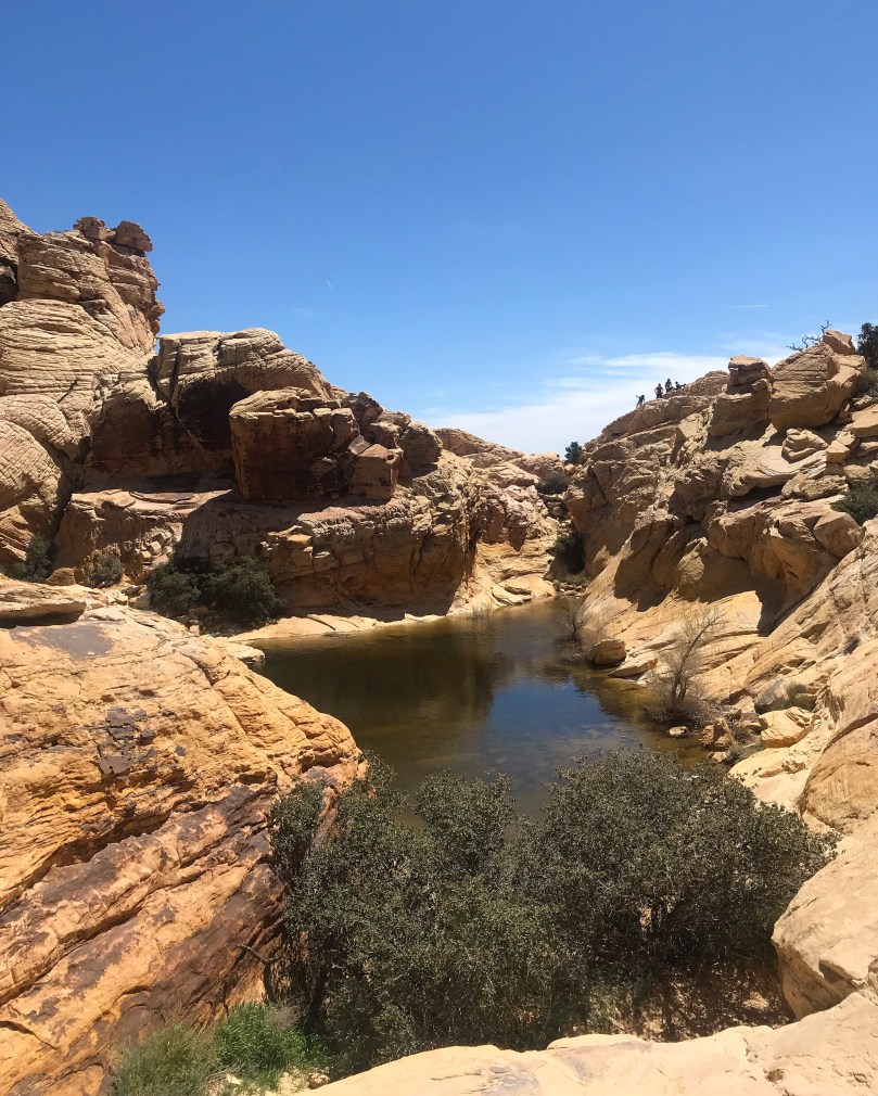 8c08beda-15a4-46eb-a9f4-492bf2f78b0f