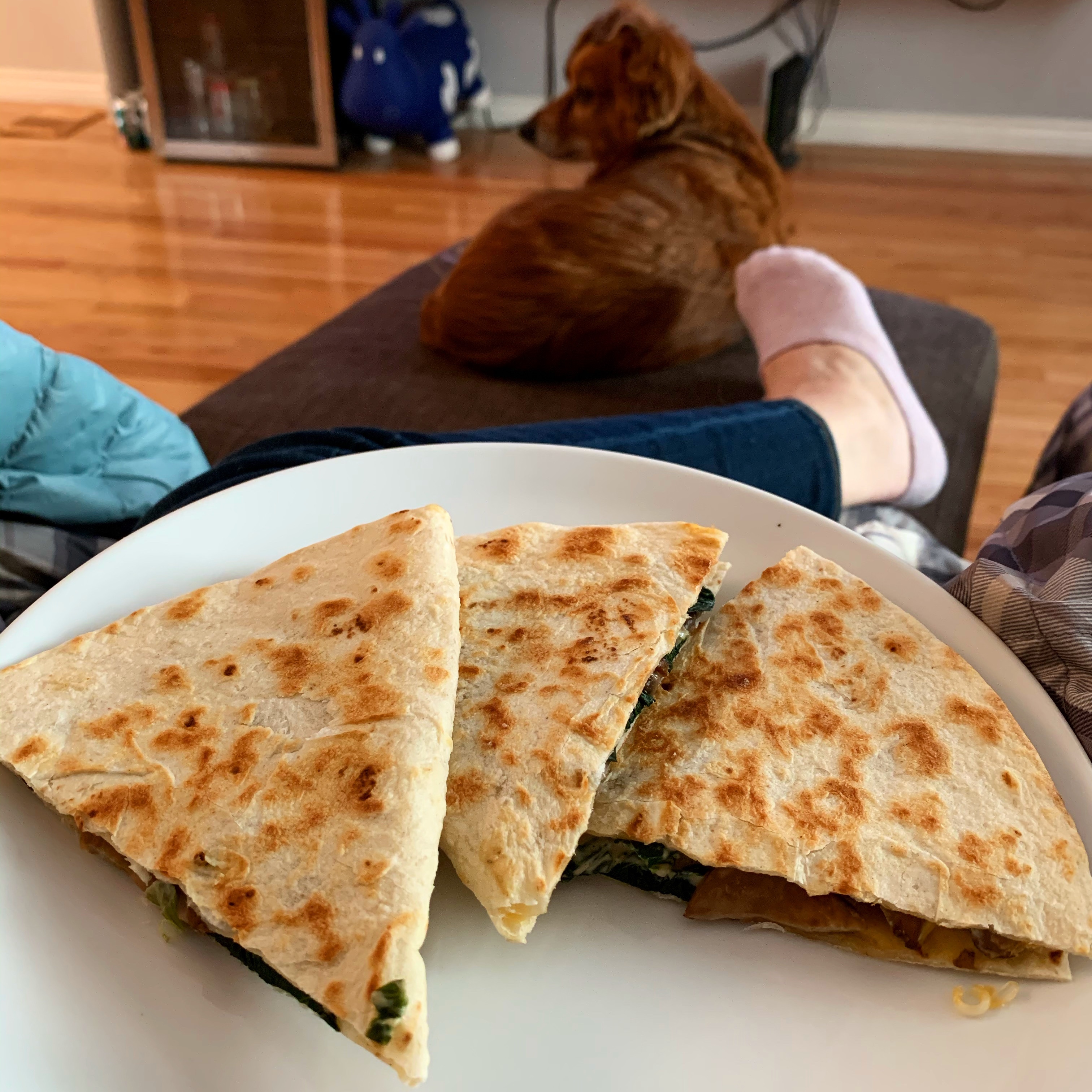 954f01d6-c8e1-41f6-b7a5-2d9c5b6ff800