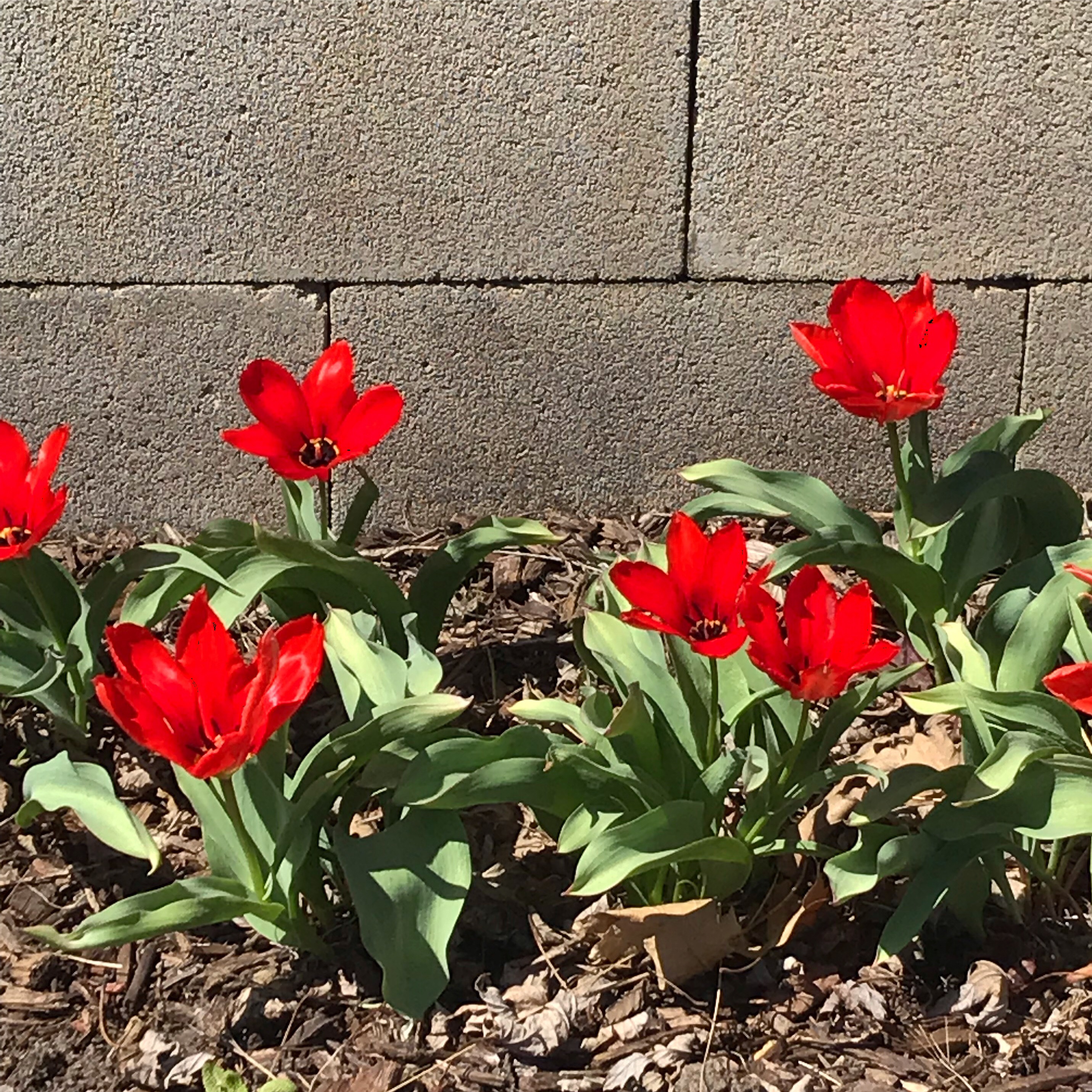 f33a20e6-168e-4e6d-8ddb-3d6064487e76