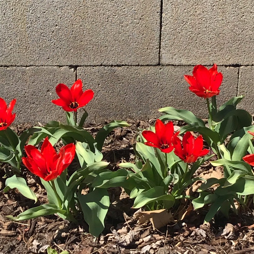 f33a20e6-168e-4e6d-8ddb-3d6064487e76