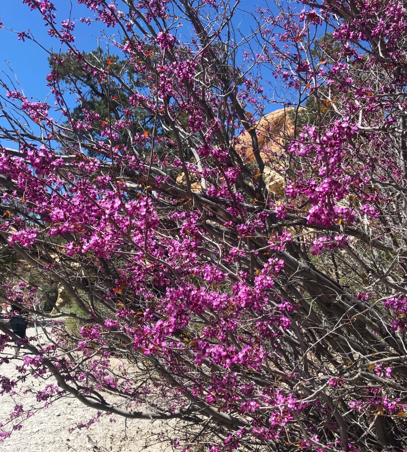 f8c12609-0f52-4923-acde-c21e4d6dd010