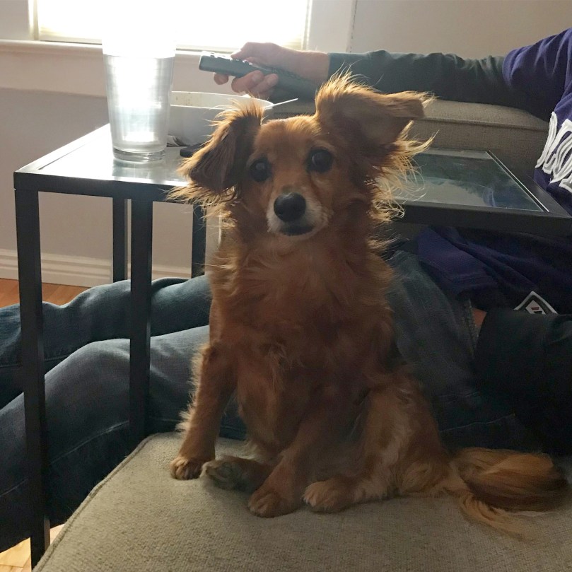 29033ed4-8a90-4dde-8e85-4dbf473d862c