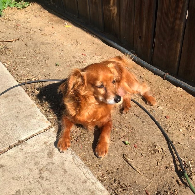 3b496d73-0fee-48d0-b47f-8473bccf25f4