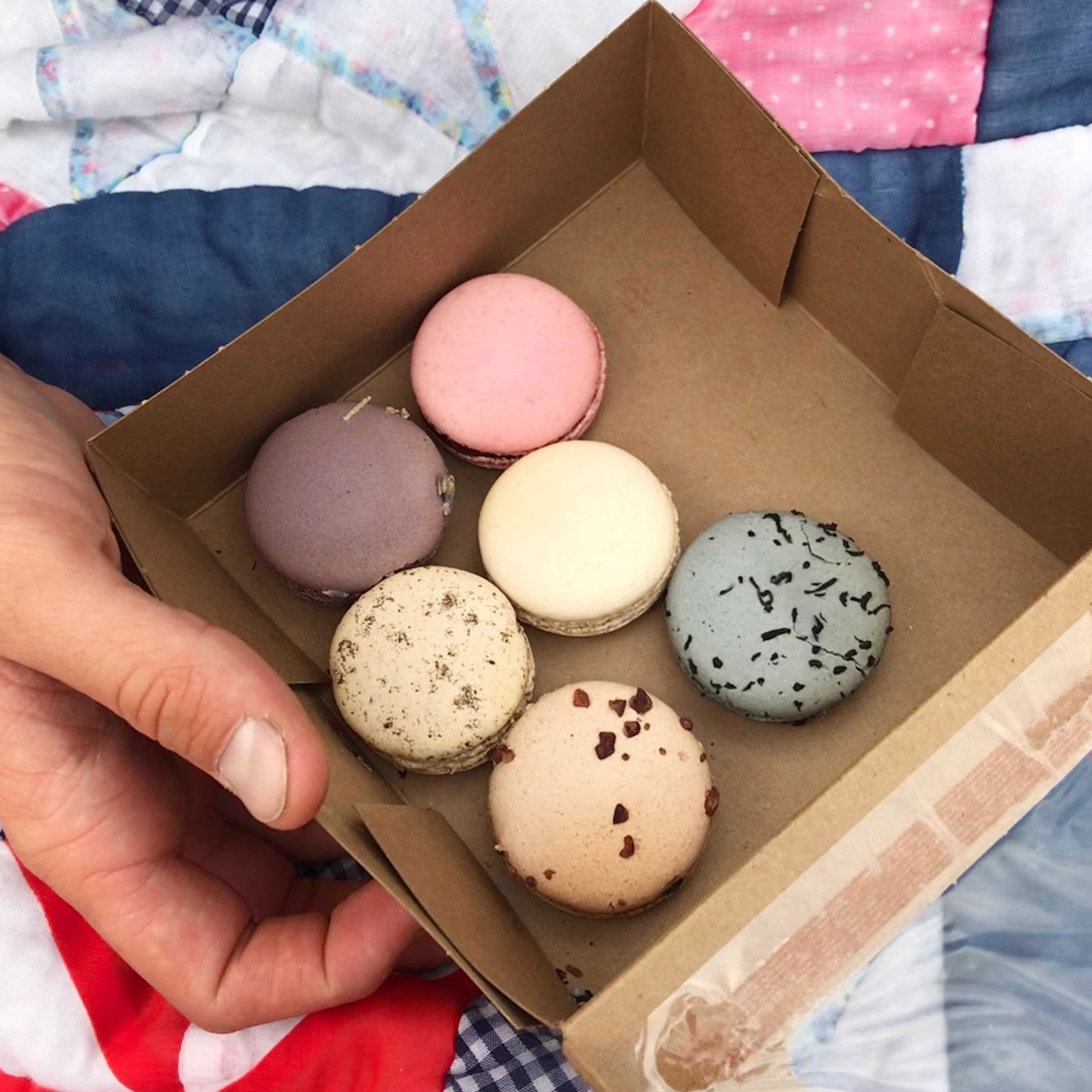 e2debb8e-ec35-4b5a-9884-b25bb9baf14c