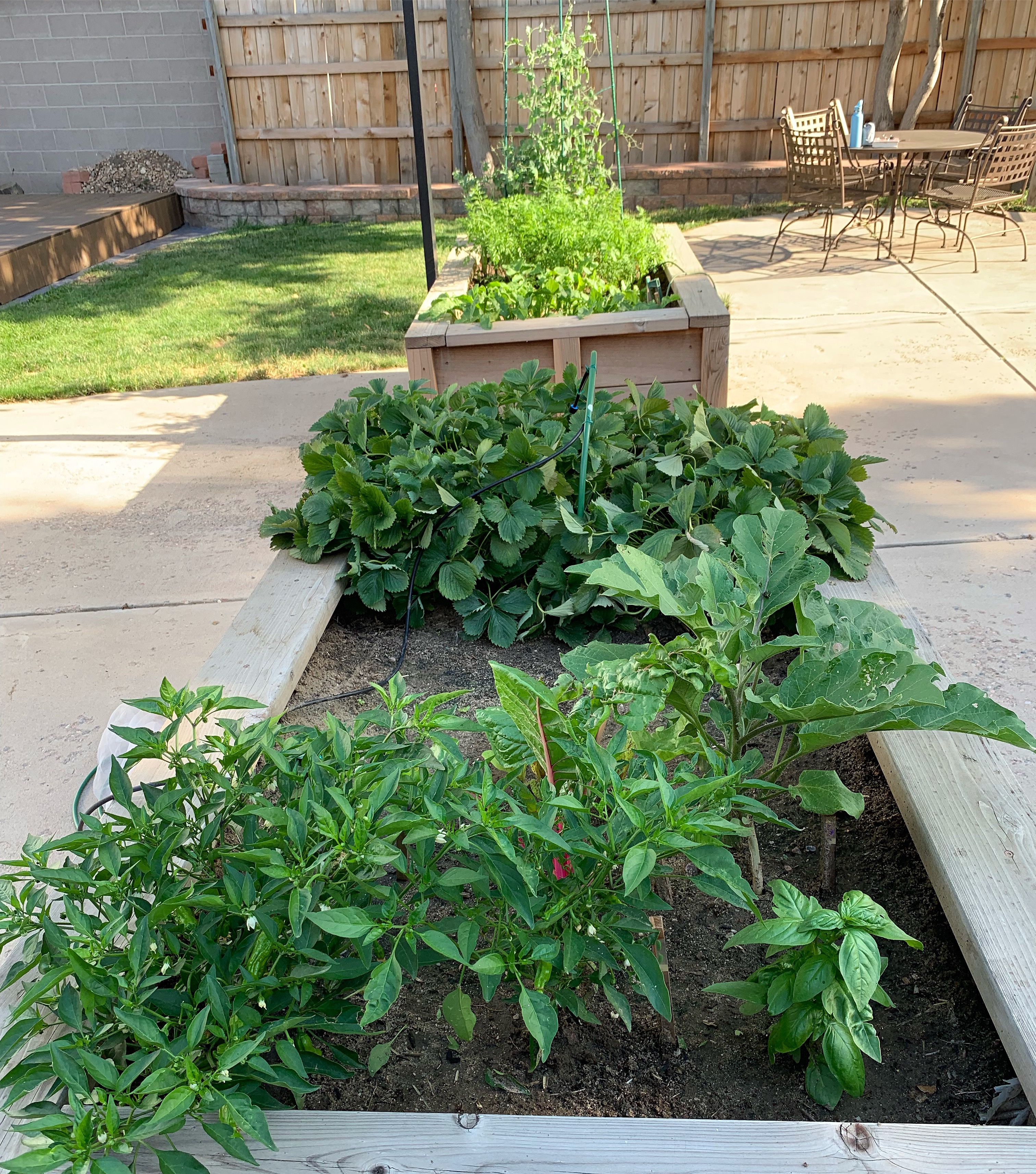 dcab9c09-8d07-4a3f-b0bb-05537ed7fb9f