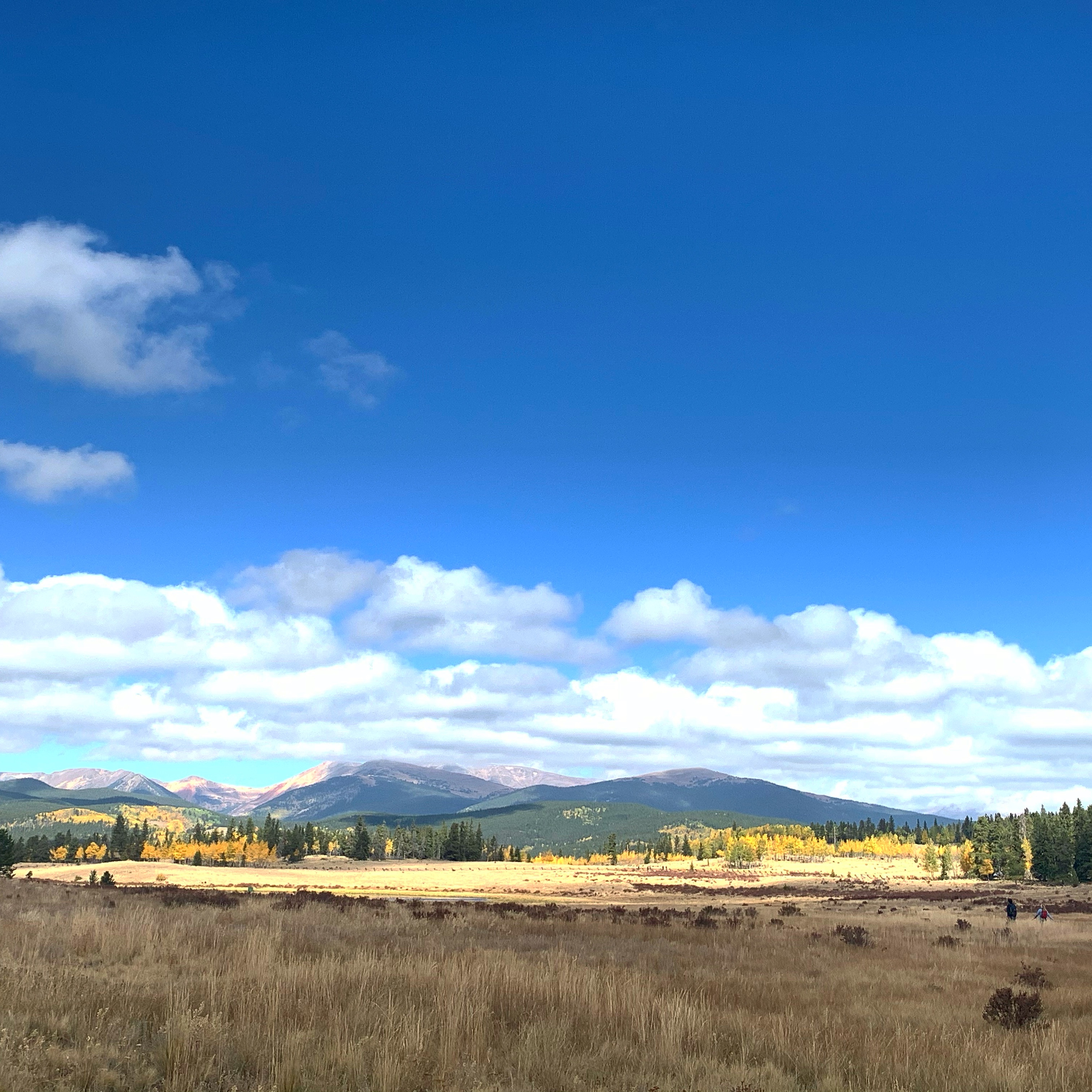 0d543780-ad84-4206-9eae-a2db2b31c677