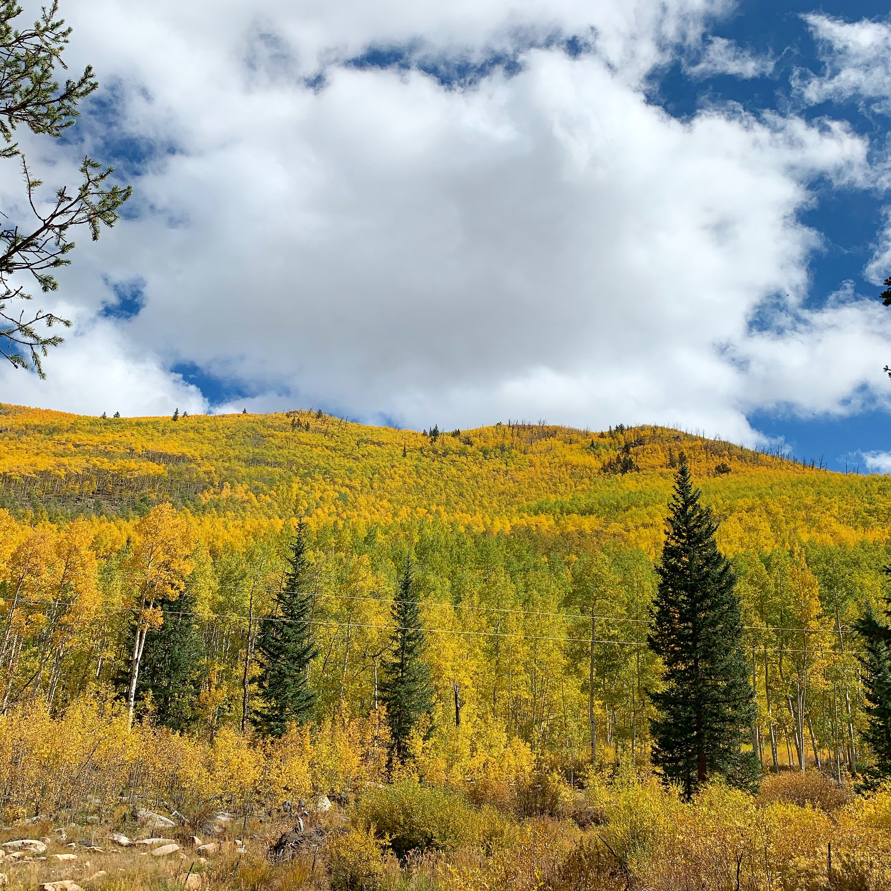 2ad872df-9bfa-4f46-a2e4-99a448f3e6e2