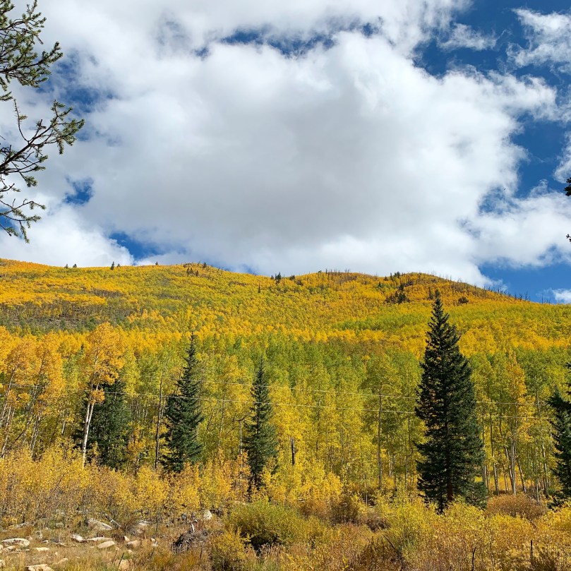 2ad872df-9bfa-4f46-a2e4-99a448f3e6e2