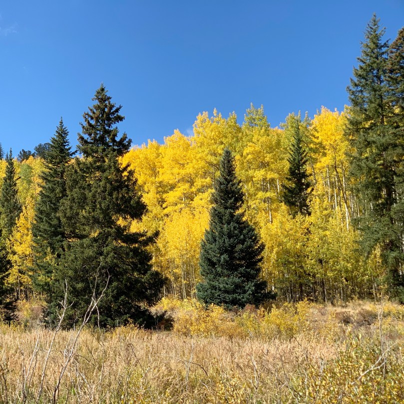 40f45edb-55e5-4ca1-b12f-833faeaa8da2