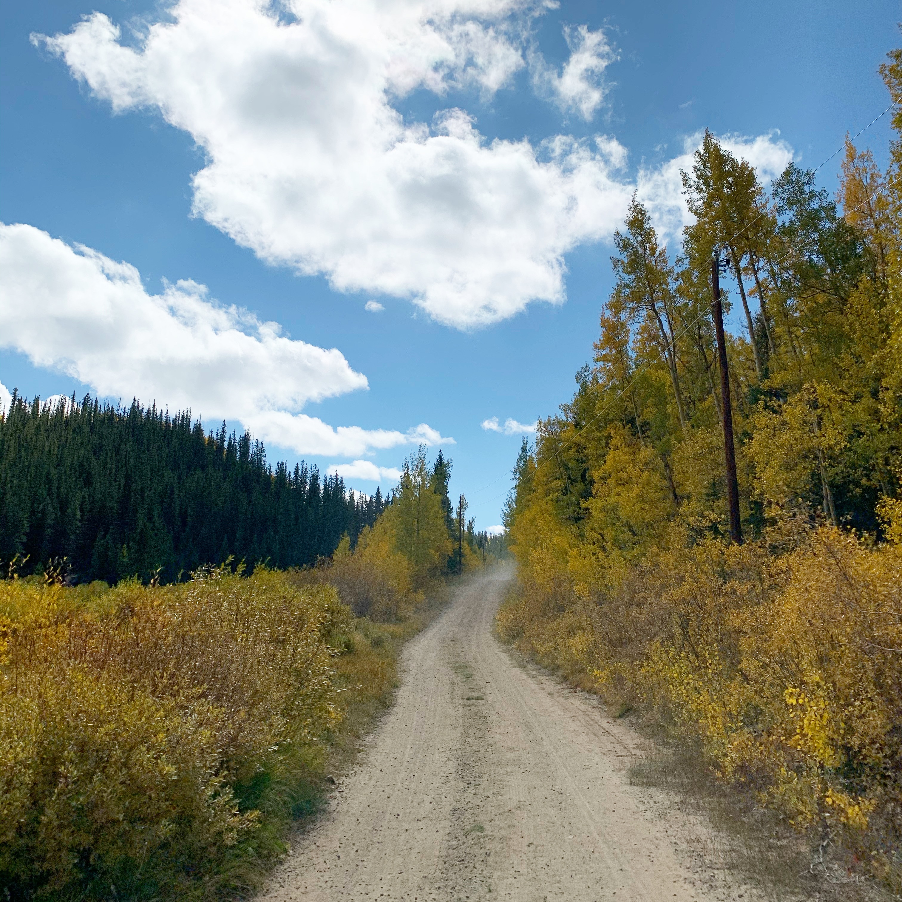 79ca8572-b5dc-4107-ae5e-6052fa25ff12