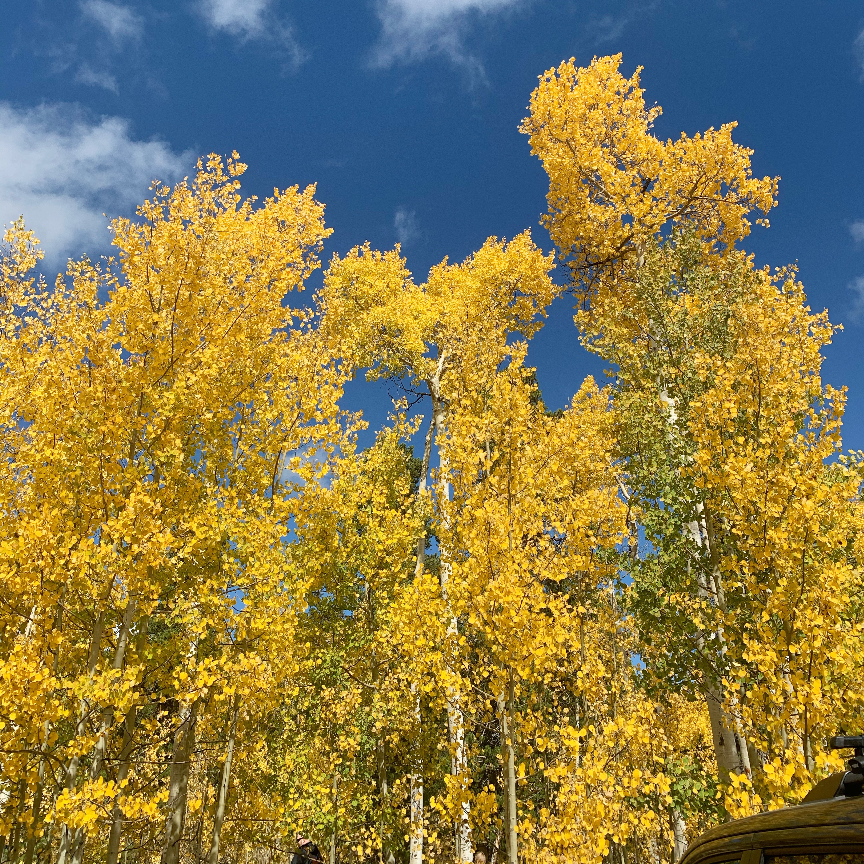 87318899-57f0-4e74-9262-a1ed35c04671