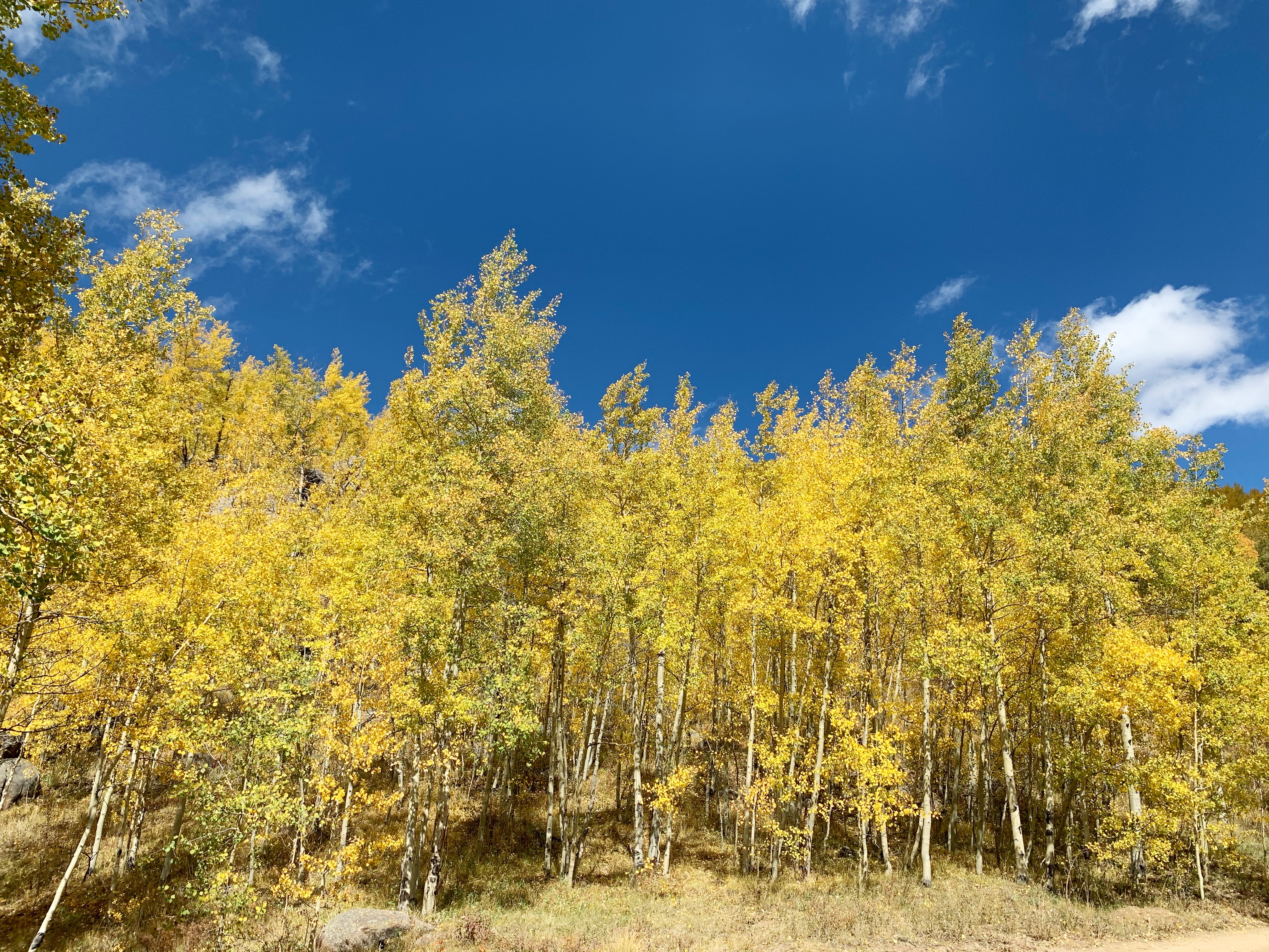 b1248e4e-72c9-44cd-9518-ea343b22e1c4