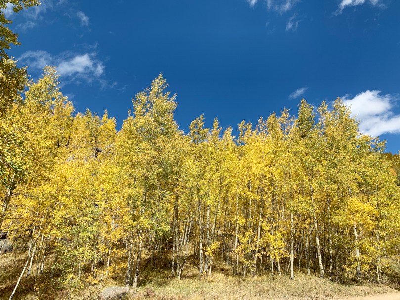 b1248e4e-72c9-44cd-9518-ea343b22e1c4