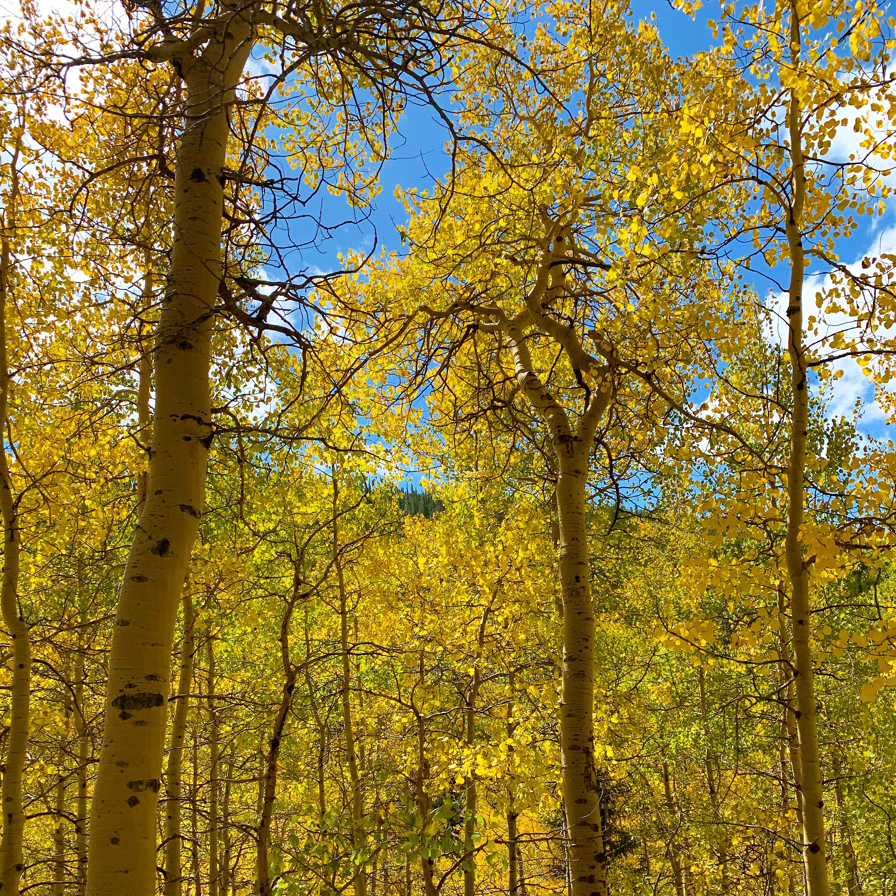 b2a17d0a-8390-4c7c-8a75-3c5a6d5d89d0