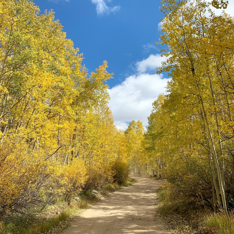 c4ec16a4-18a1-4c73-be2a-10ca96a341ad