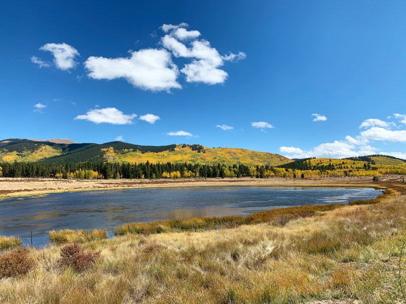 cee402c1-7a57-4e14-bf70-994f7f801ba7-1