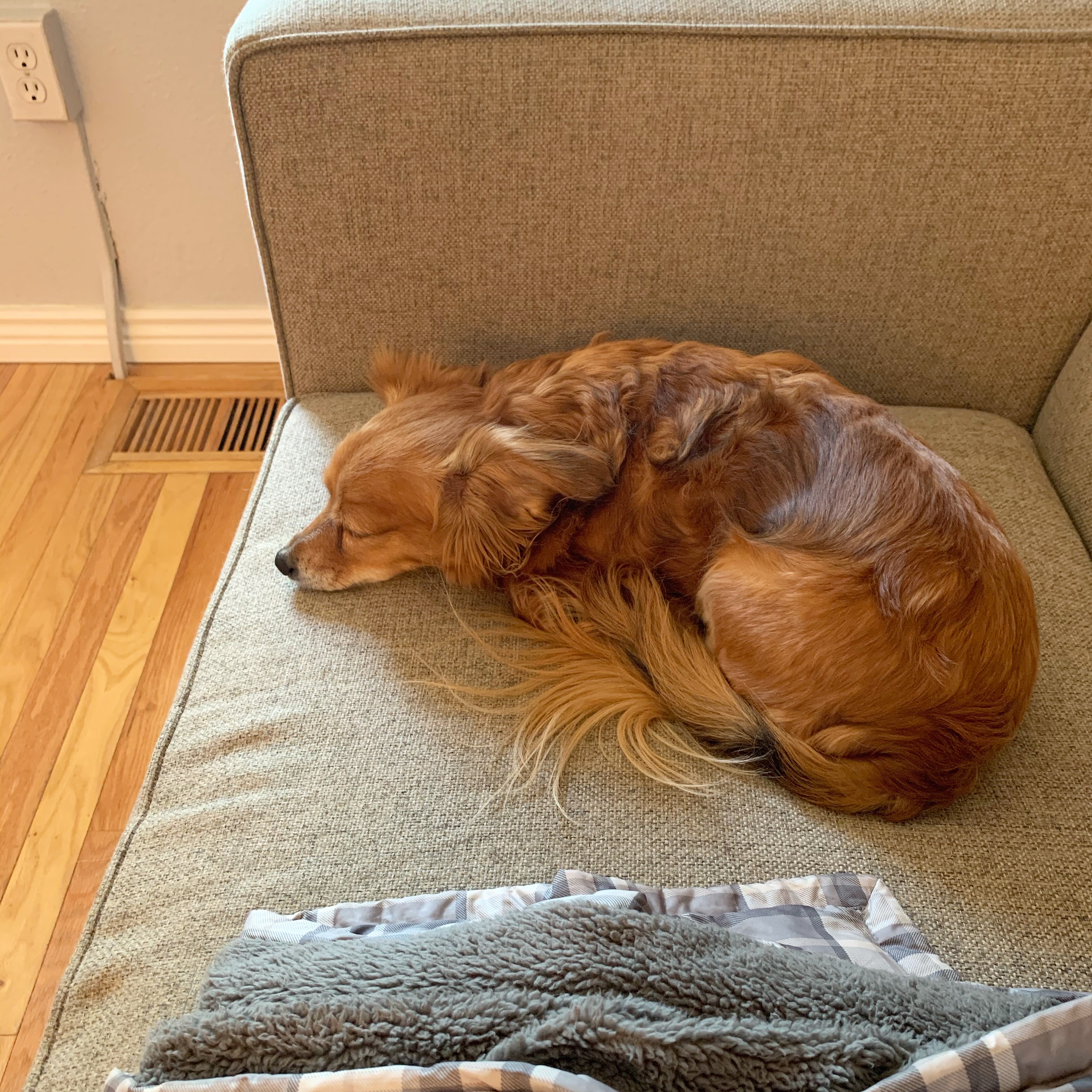 efd3bc7d-1924-4a70-9fc0-b3bcefab23eb-1