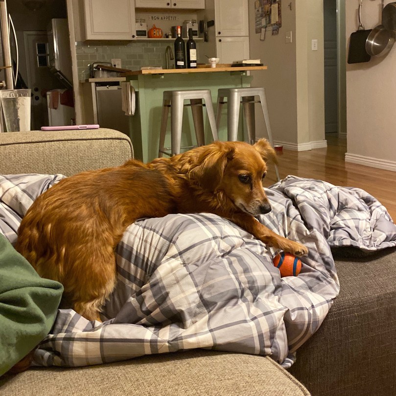 095a8526-4223-42be-9135-63b42f702111