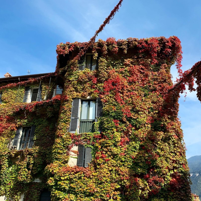 1f3b3535-e173-46d1-b797-554d2fe5727e