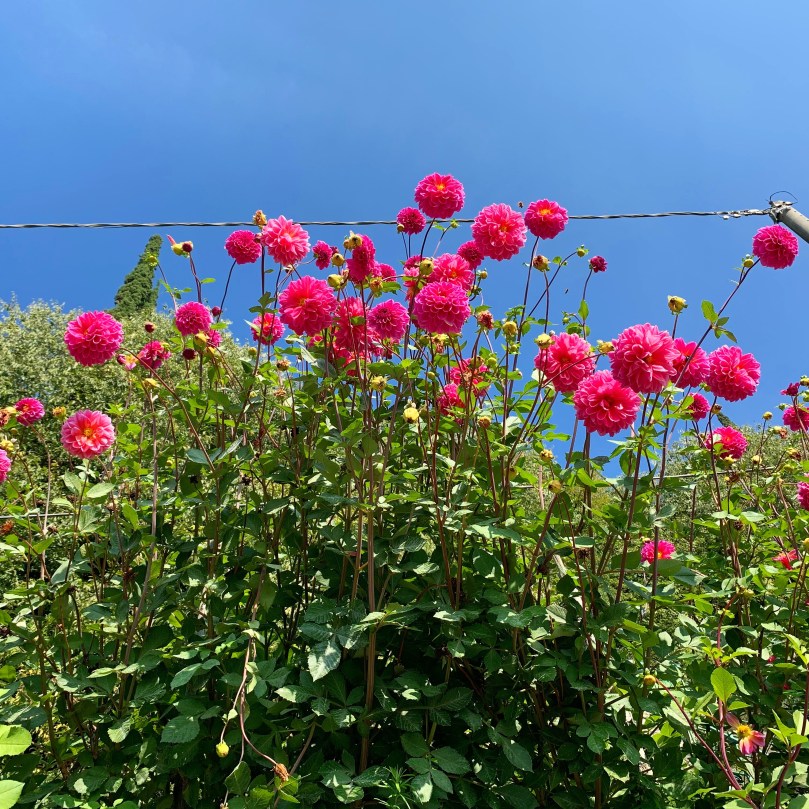 32874b7d-05f4-4aff-865e-533f9630af60