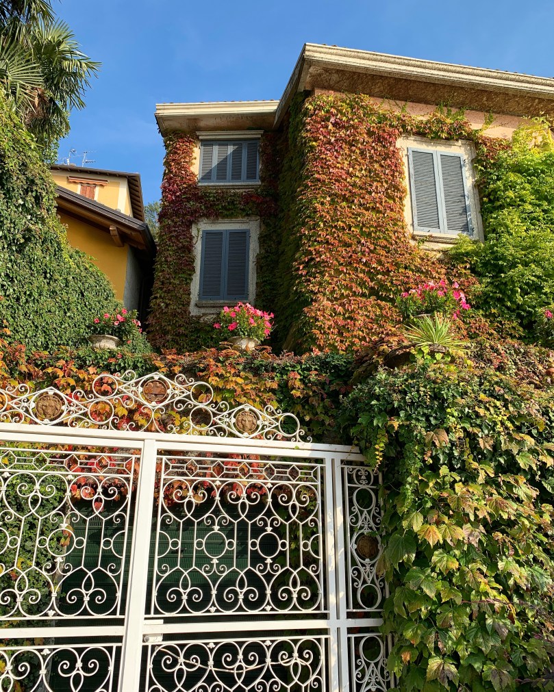 40ea3fc9-f4e8-482d-8f5e-7747db21128c-1