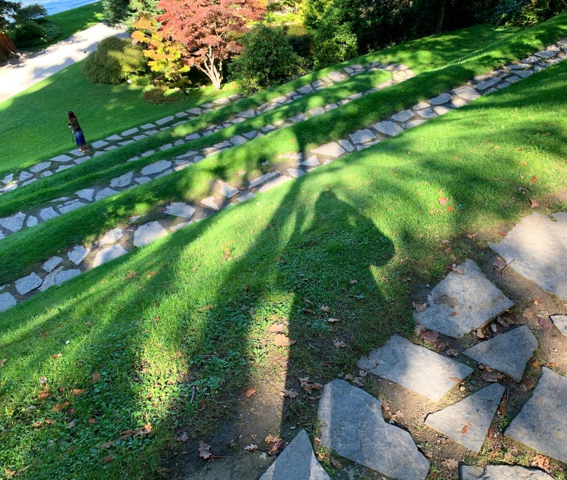 f3919760-9a9e-4c1b-bcb0-87511b9e095f