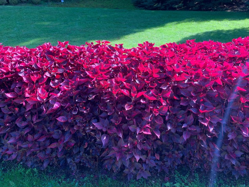 fea7e71e-f389-4847-bf01-839b23d02588